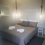 Spiderrooms
